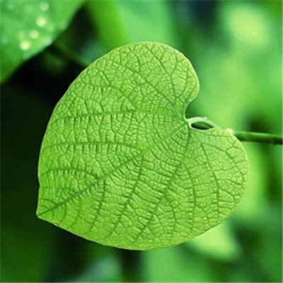 云顶集团下载手机版